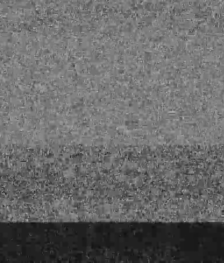 映画監督・緒方貴臣オフィシャルサイト